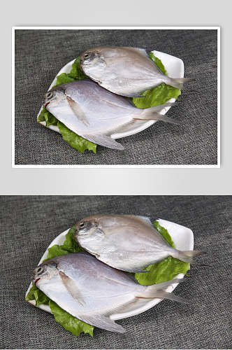 美味扁鱼火锅食料餐饮图片