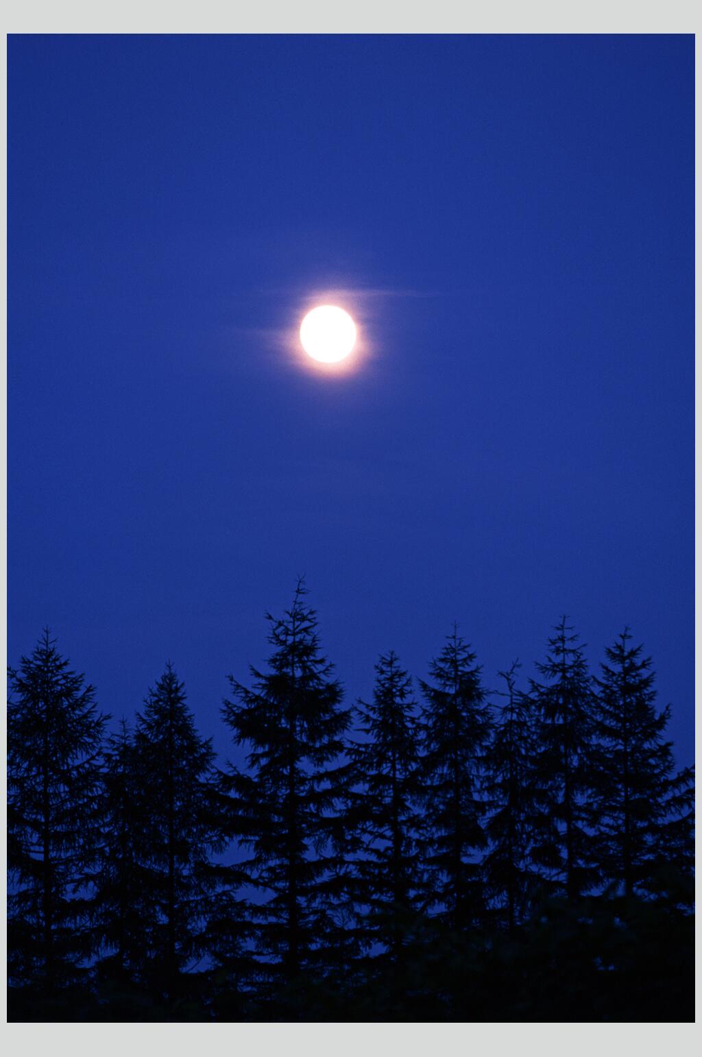 夜色月亮天空风景图片素材