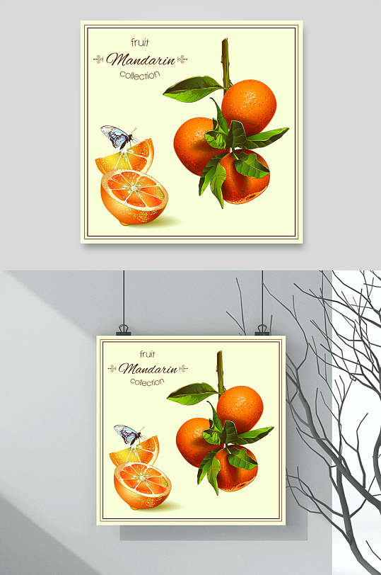 柑橘鲜花水果矢量素材