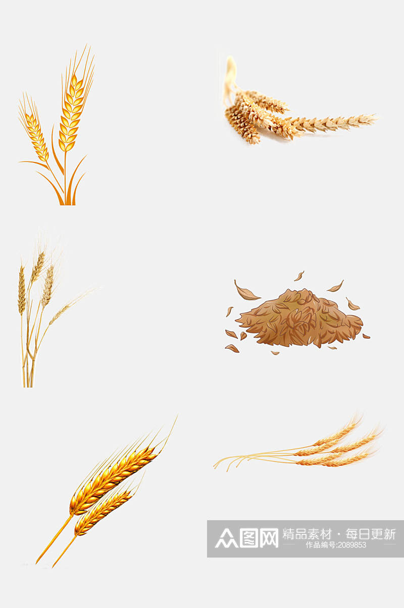 简洁小麦大米高粱免抠元素素材