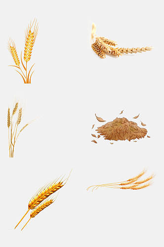 简洁小麦大米高粱免抠元素