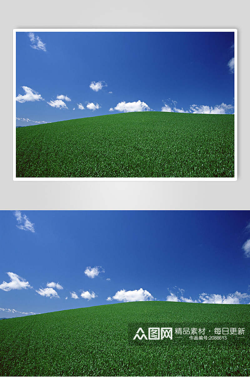 绿色稻田天空风景图片素材