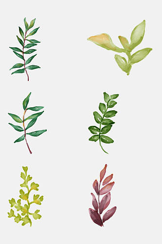 清新绿色手绘水彩叶子枝叶楷模元素