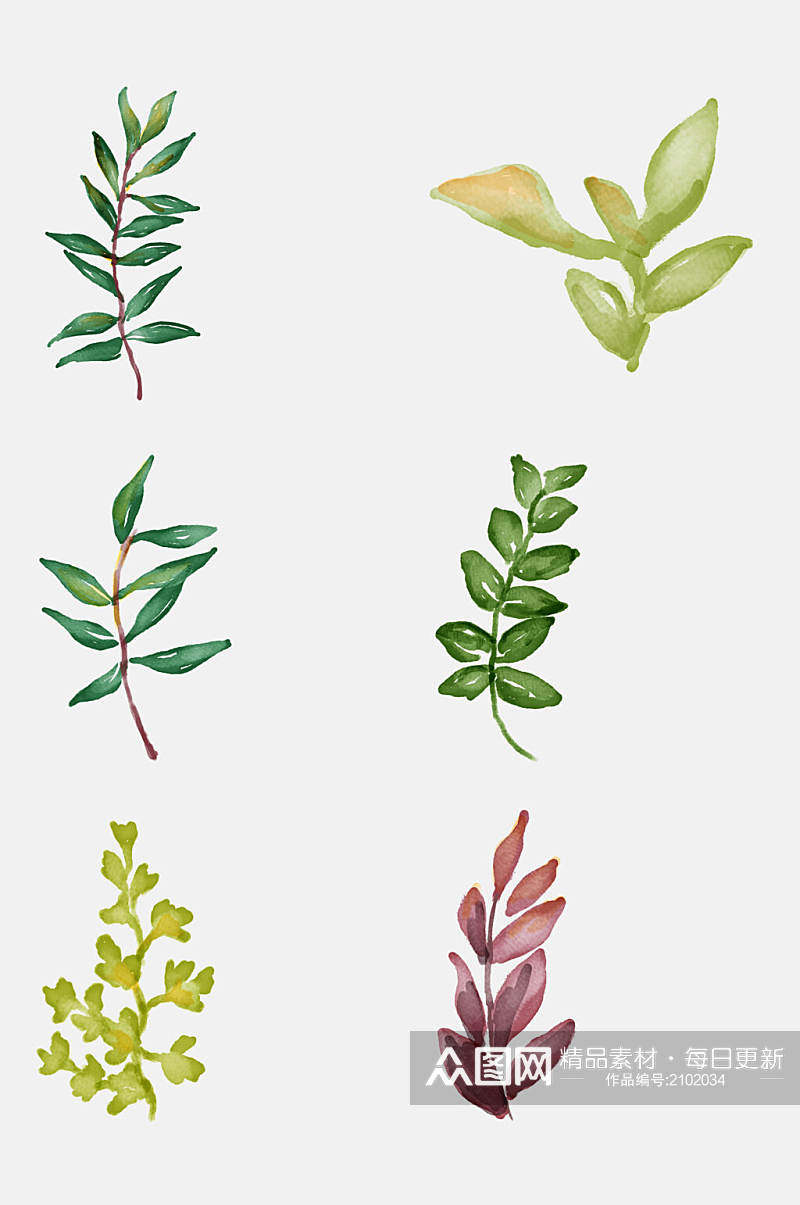 清新绿色手绘水彩叶子枝叶楷模元素素材