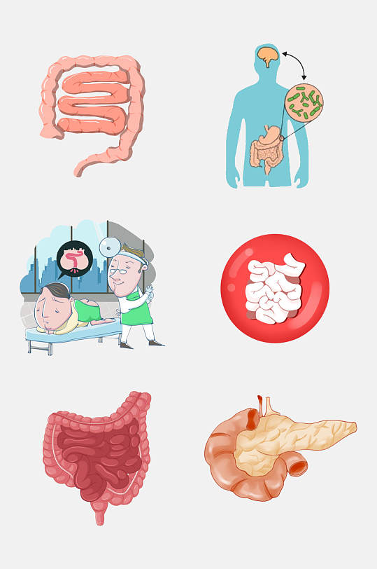 人体器官肠胃免抠元素