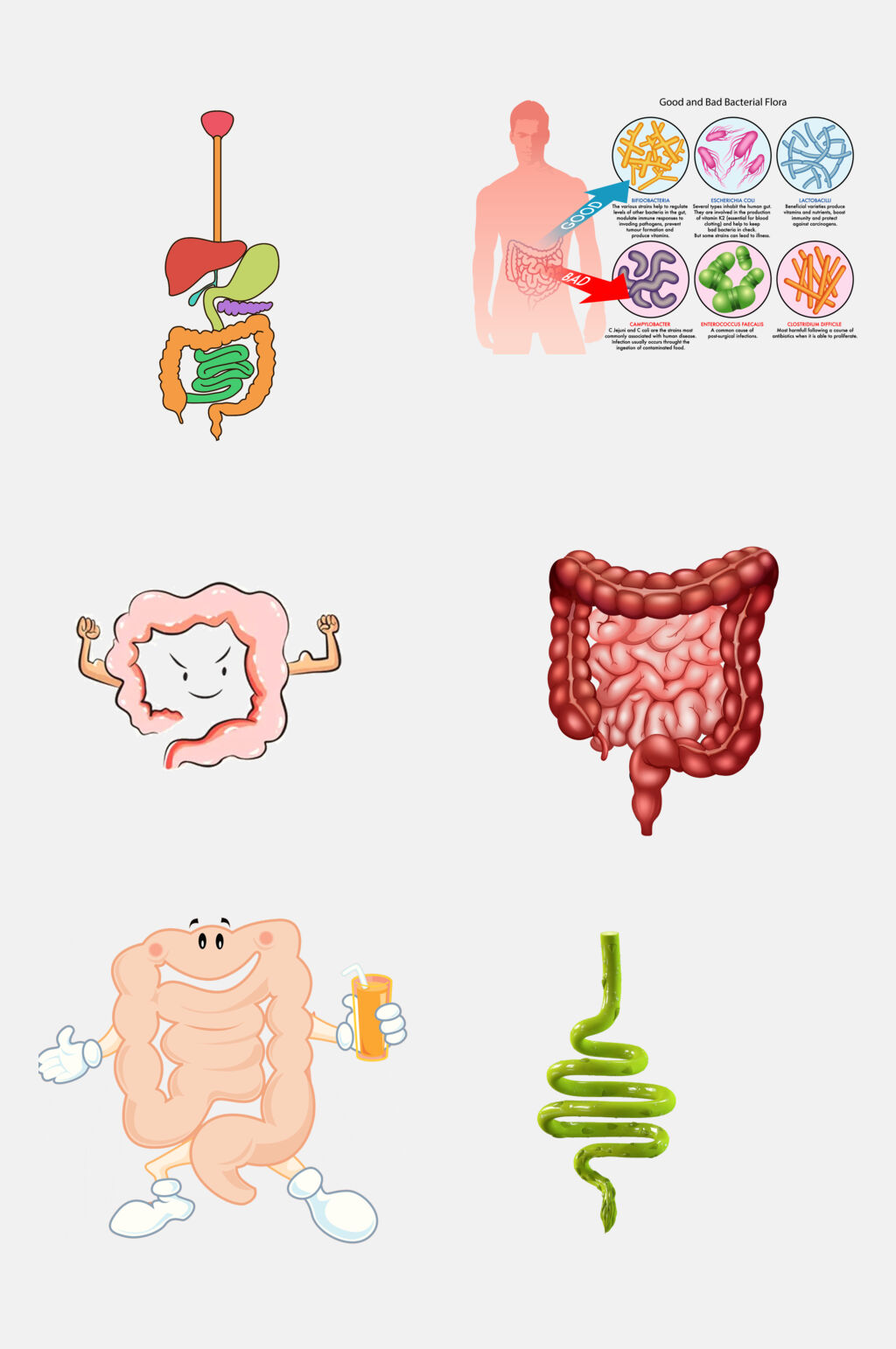 卡通人体器官免抠元素
