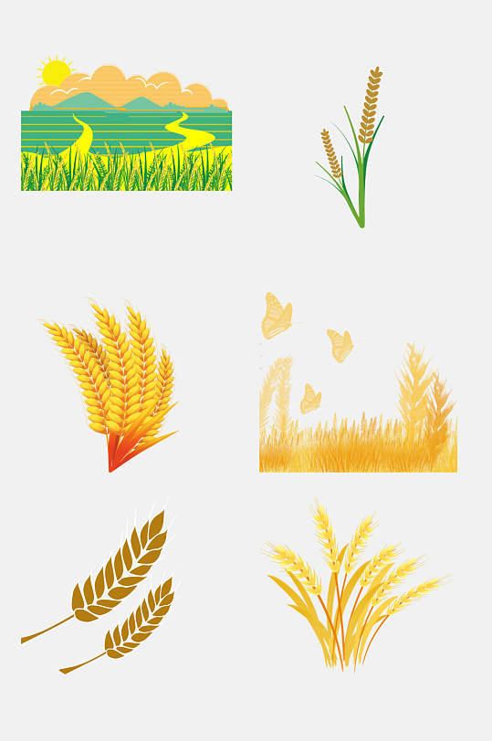 小麦大米高粱免抠设计元素