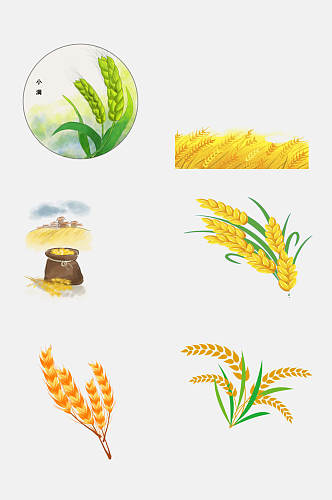 水彩植物麦穗小麦大米高粱免抠设计元素