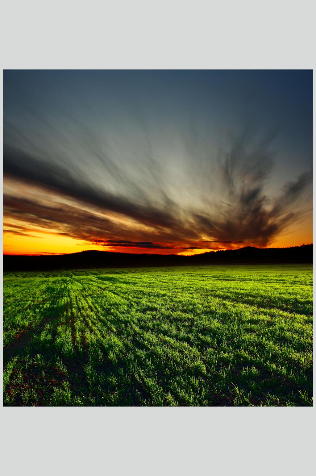 绿色田地蔬菜朝霞晚霞摄影图片