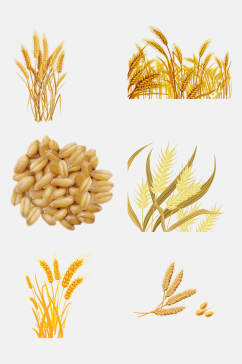 大气金色麦穗小麦大米高粱免抠元素