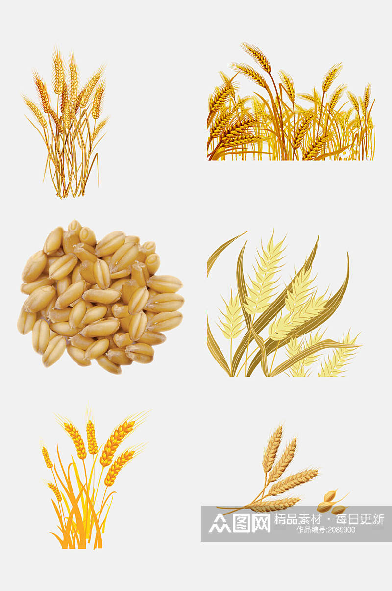 大气金色麦穗小麦大米高粱免抠元素素材