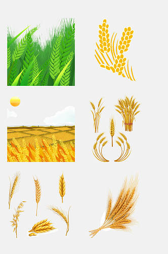 促植物小麦大米高粱免抠元素