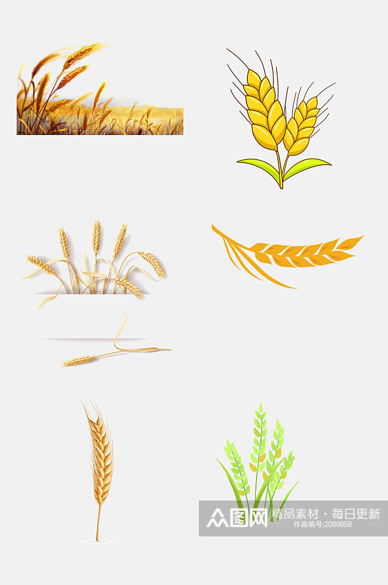 手绘小麦大米高粱免抠元素素材