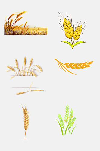 手绘小麦大米高粱免抠元素