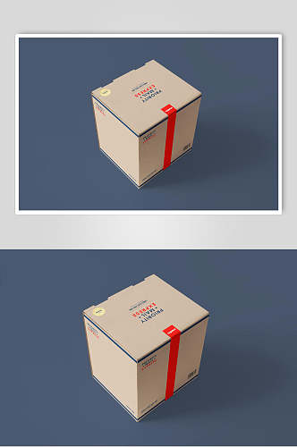 时尚高端纸箱包装盒样机效果图