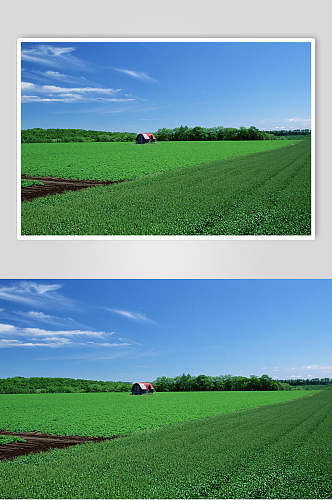 绿色田园天空高清图片