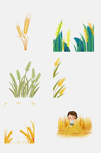 简洁粮食植物小麦大米高粱免抠元素