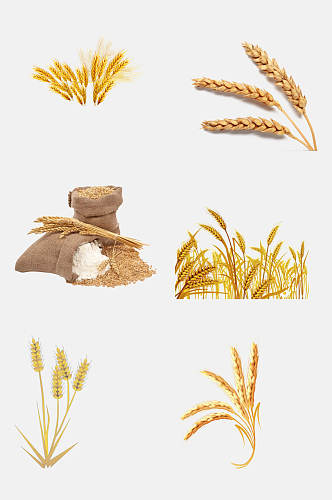 五谷杂粮小麦大米高粱免抠元素