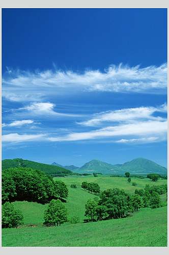 绿色森林天空风景图片