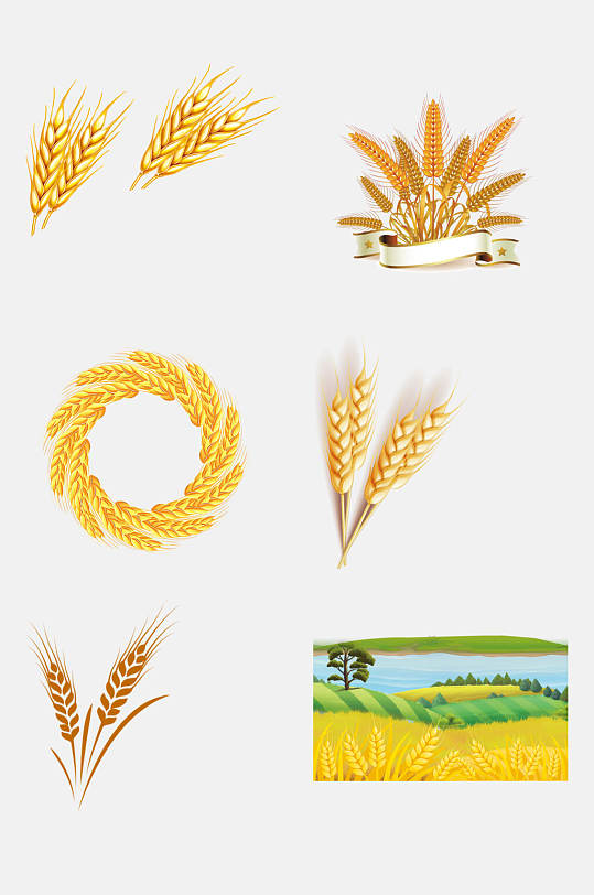 创意麦穗粮食小麦大米高粱免抠元素