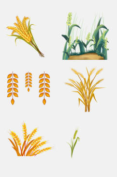 稻谷小麦大米高粱免抠元素