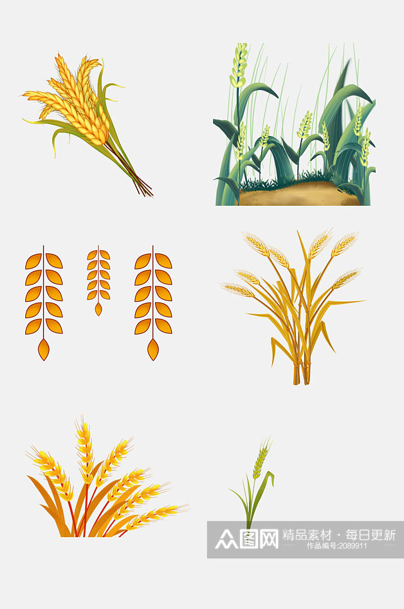 稻谷小麦大米高粱免抠元素素材
