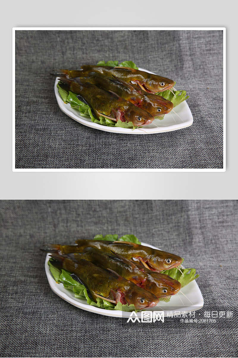 新鲜黄辣丁鱼火锅食料美食图片素材