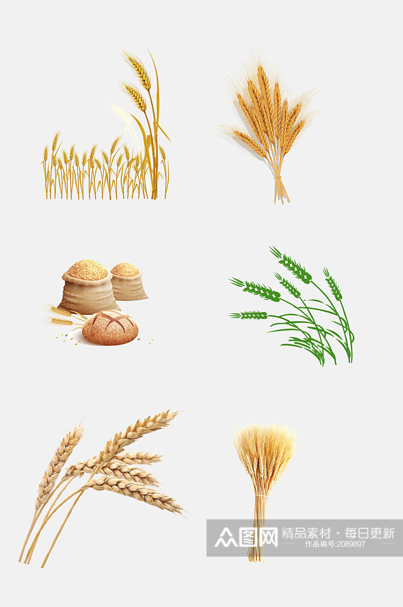 麦穗五谷杂粮小麦大米高粱免抠元素素材