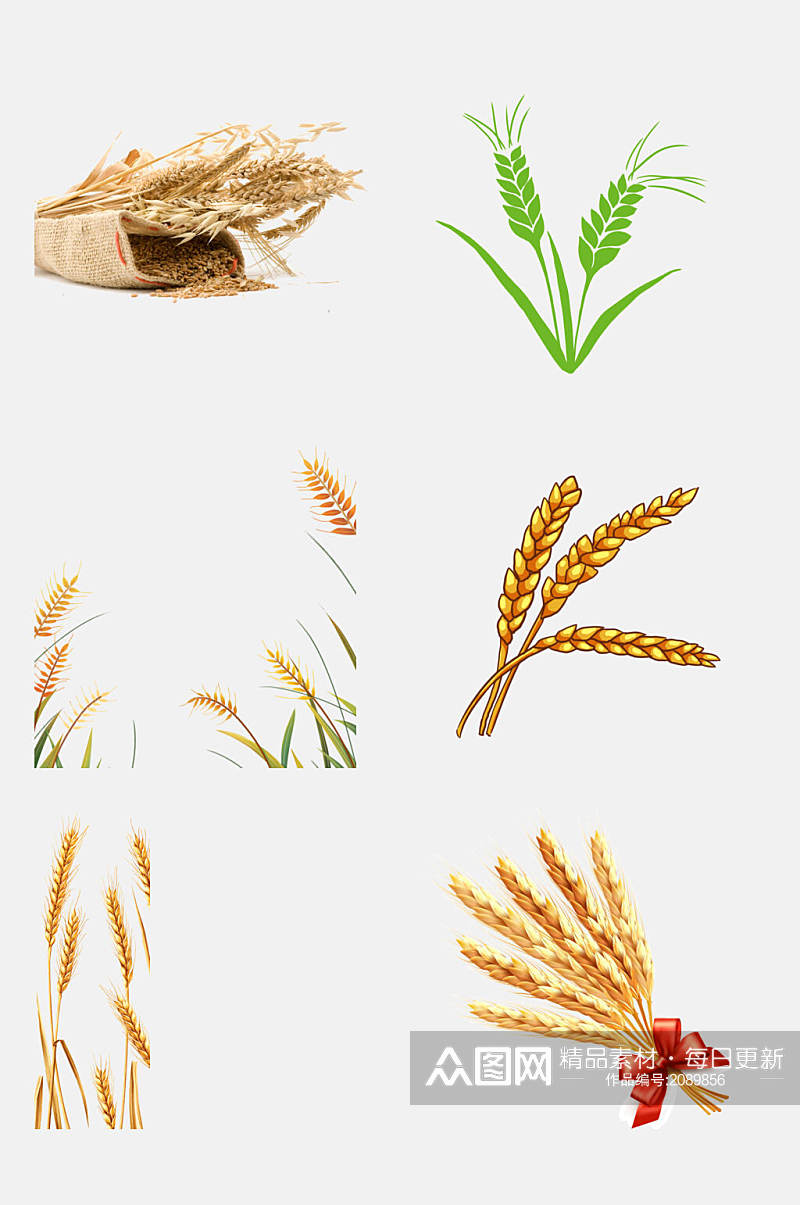 麦穗小麦大米高粱免抠元素素材