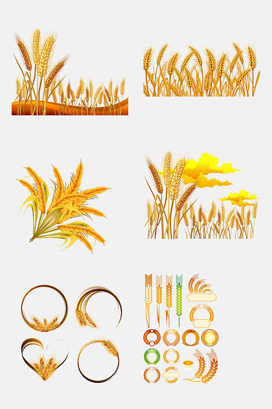 创意金色麦穗小麦大米高粱免抠元素