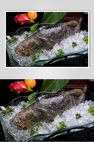 龙鼎海鲜火锅食料食物摄影图片
