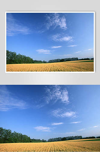 田园麦田天空风景图片