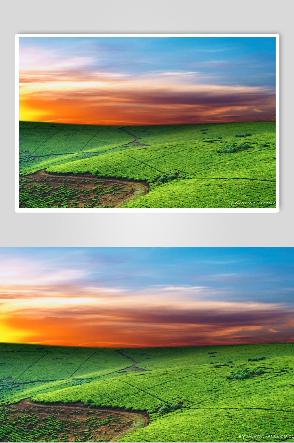 清新田野夕阳黄昏高清图片素材