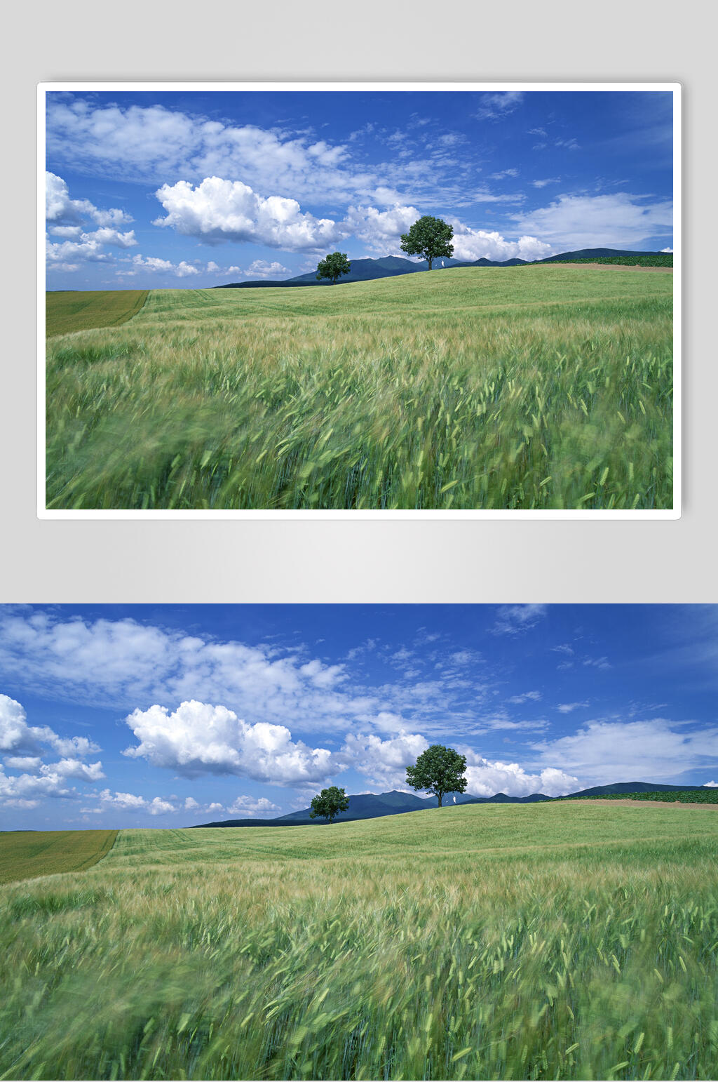 草原背景-高清草原背景素材模板-众图网