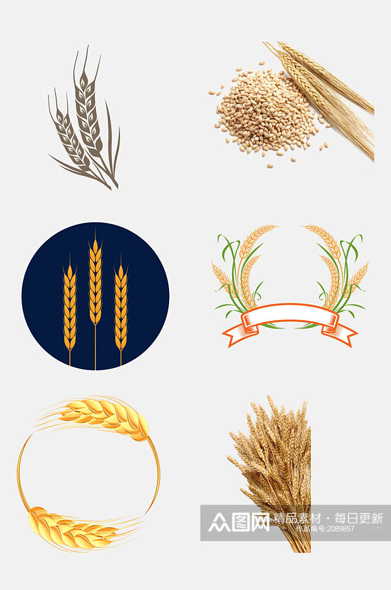 创意小麦大米高粱免抠元素素材
