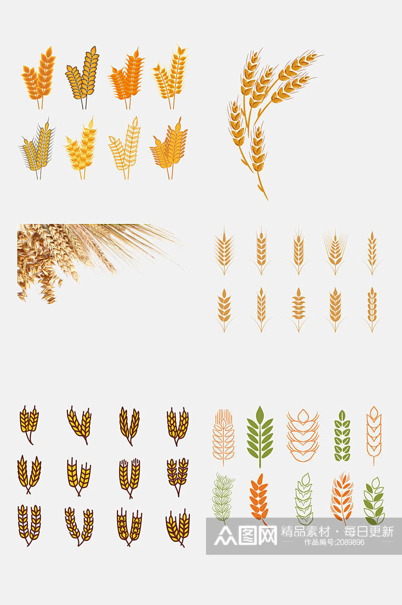 水彩麦穗小麦大米高粱免抠元素素材
