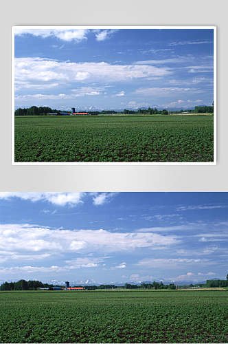 绿色田园天空风景图片