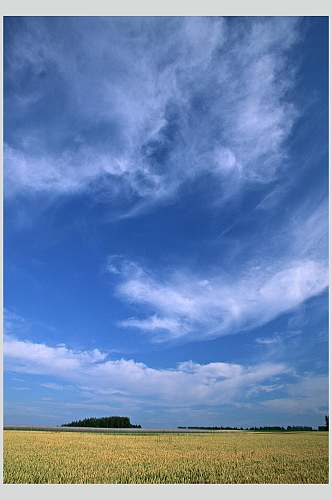 清新麦田天空高清图片