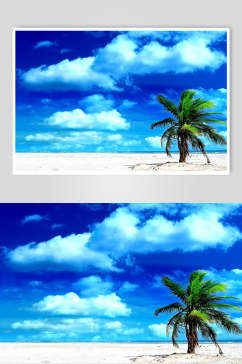 椰树蓝天白云图片