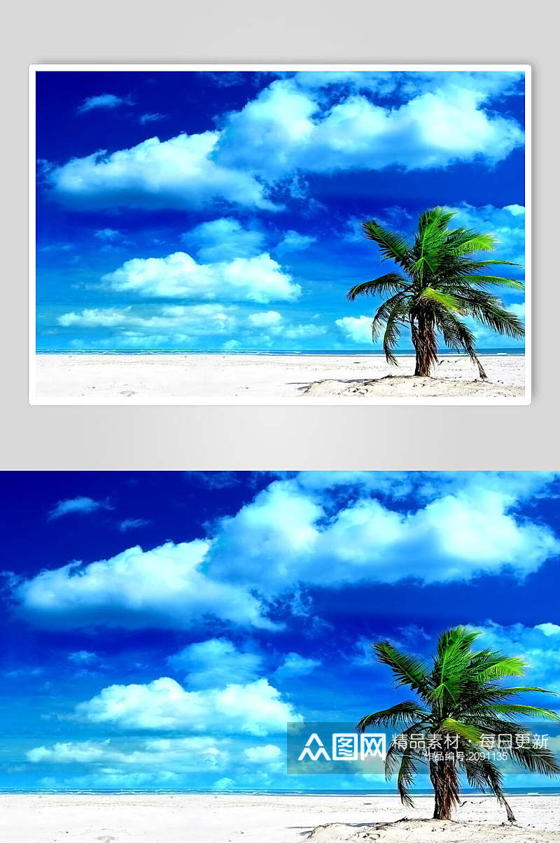 椰树蓝天白云图片素材