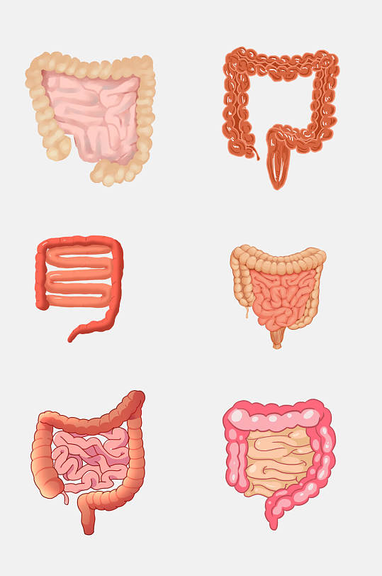 大肠人体器官免抠元素