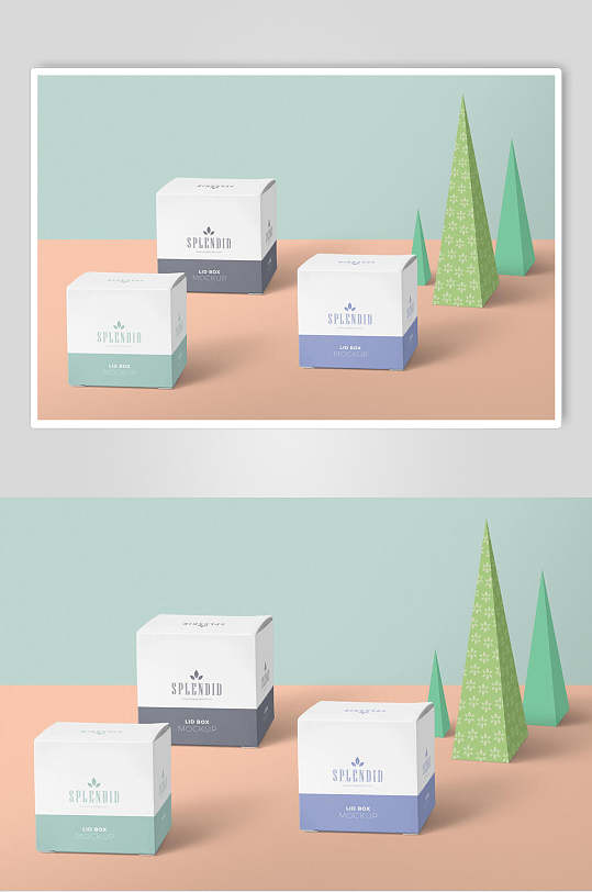 时尚极简双色包装盒样机