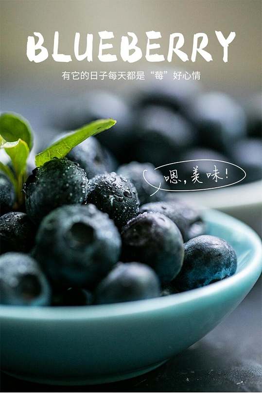 美味蓝莓水果电商详情页