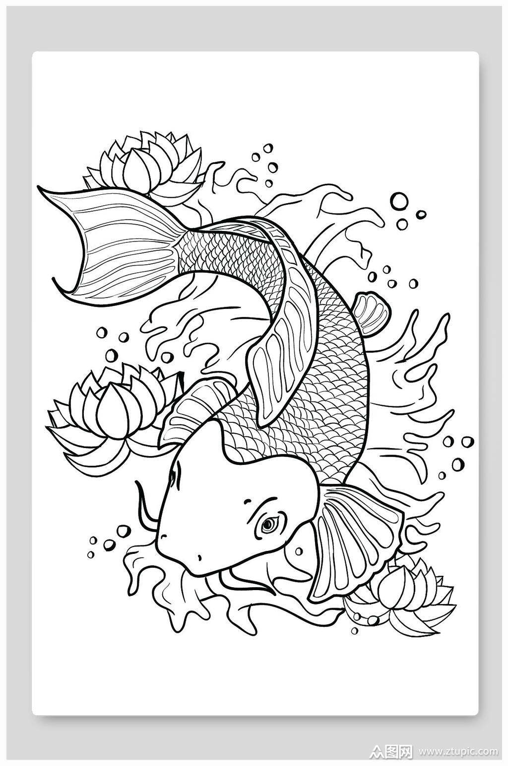 黑白锦鲤线描插画素材