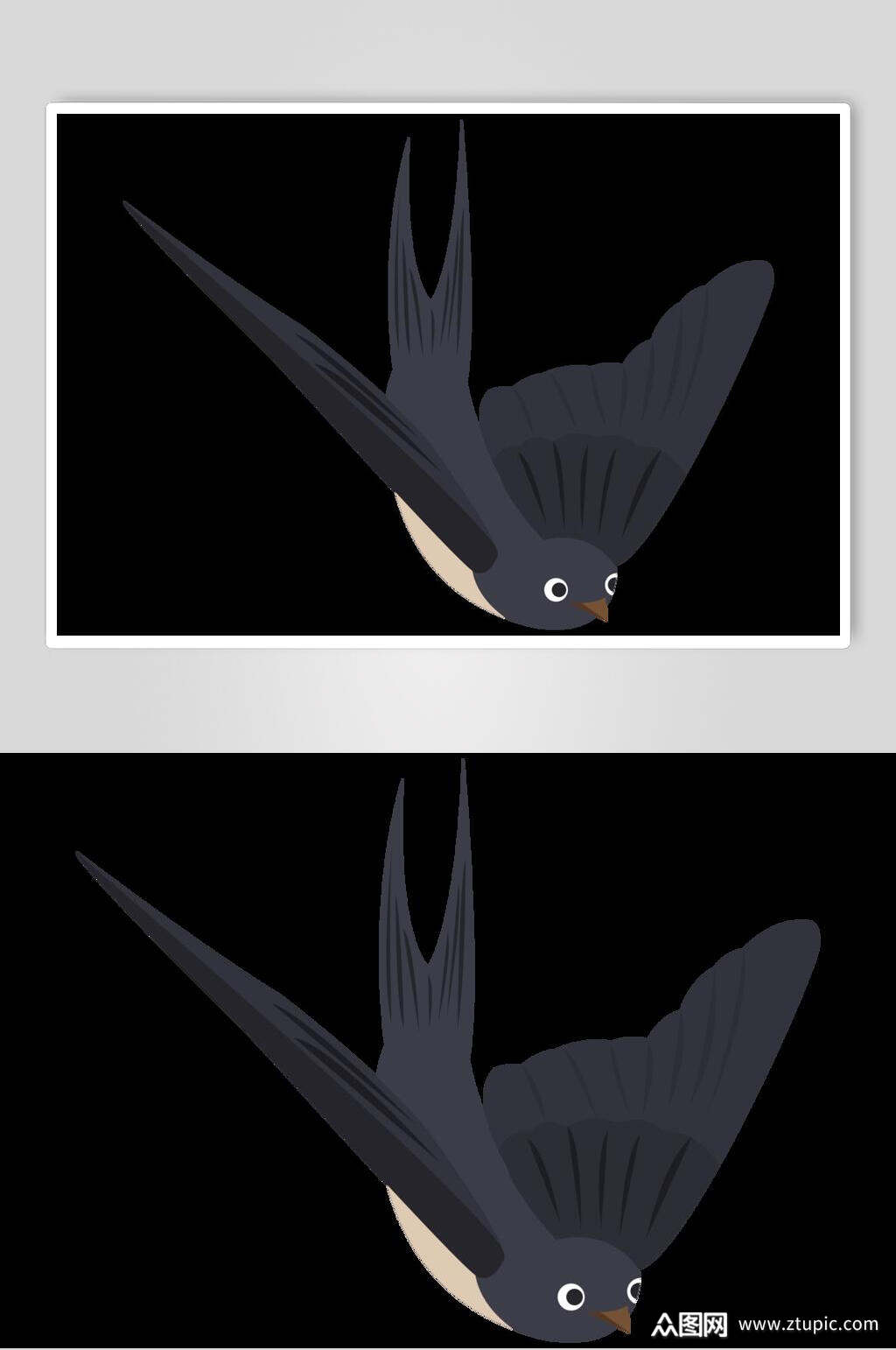 燕子矢量黑色背景插画素材设计元素素材