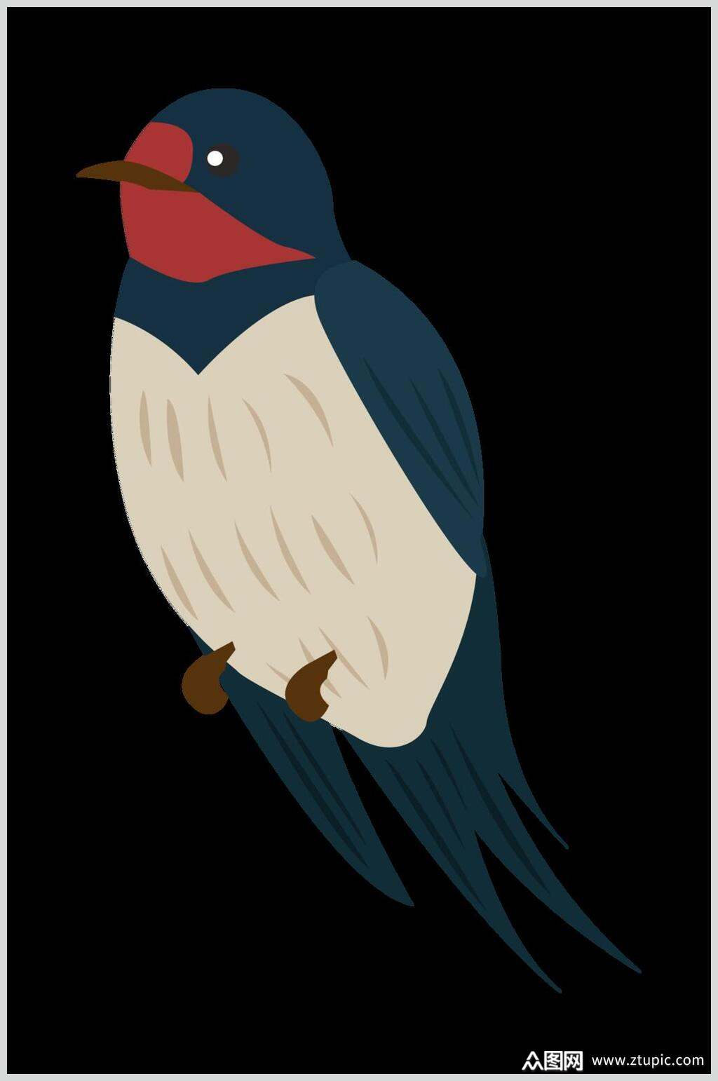 彩色燕子矢量插画素材