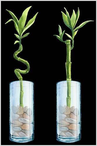 创意盆栽竹子矢量素材