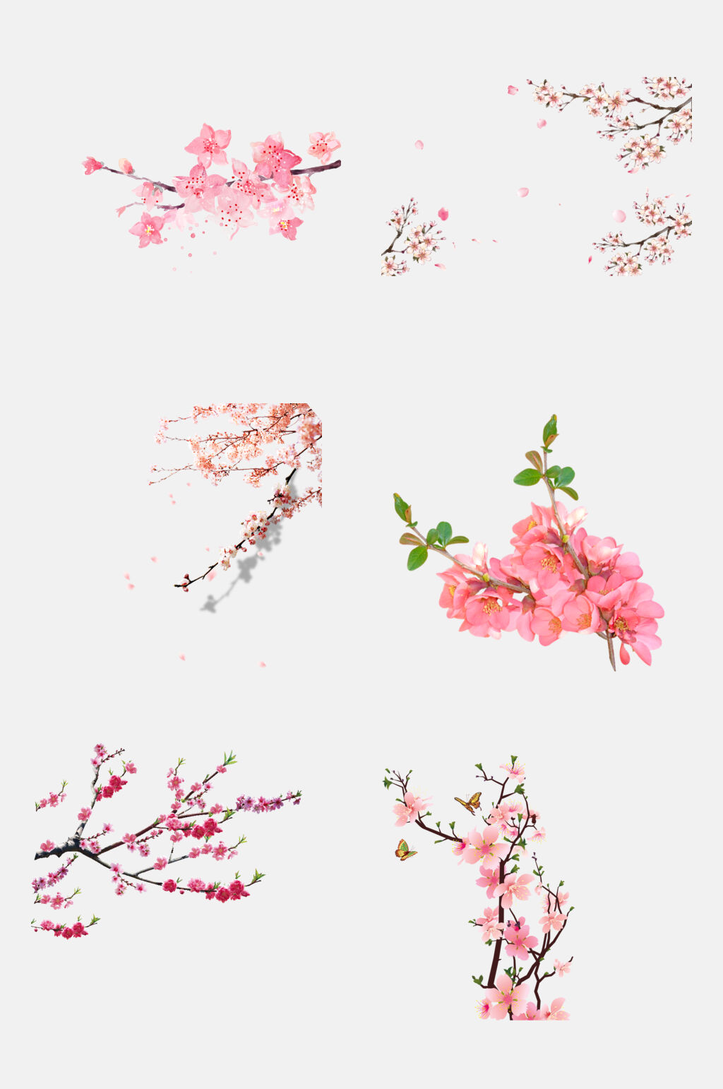 青春简洁春季桃花荷花莲花免抠元素素材