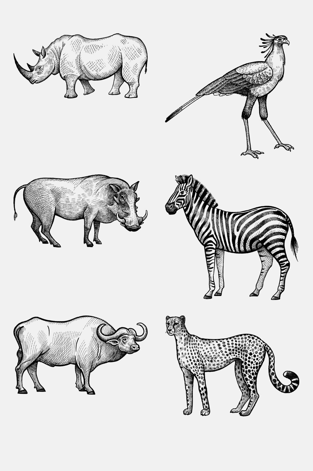 线形动物的种类图片