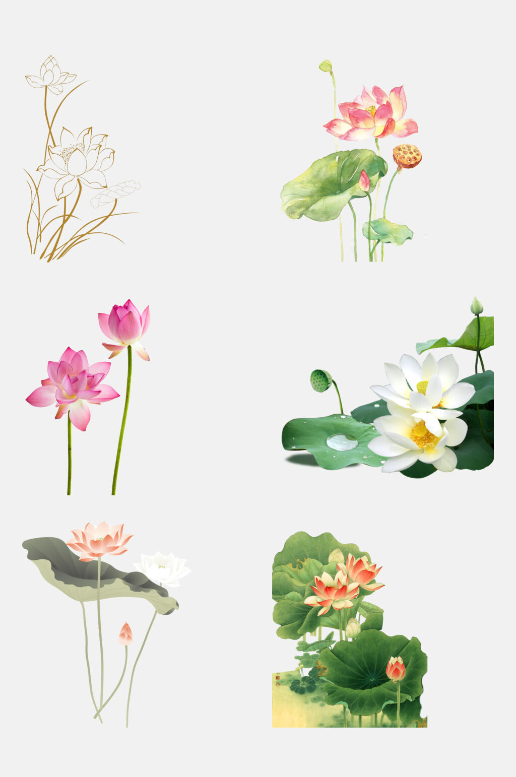 淡雅唯美荷花莲花花卉免抠元素素材